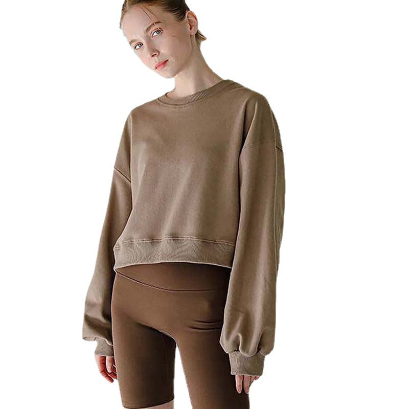 Long Sleeve Round Neck Pullover Leisure Short Sweater